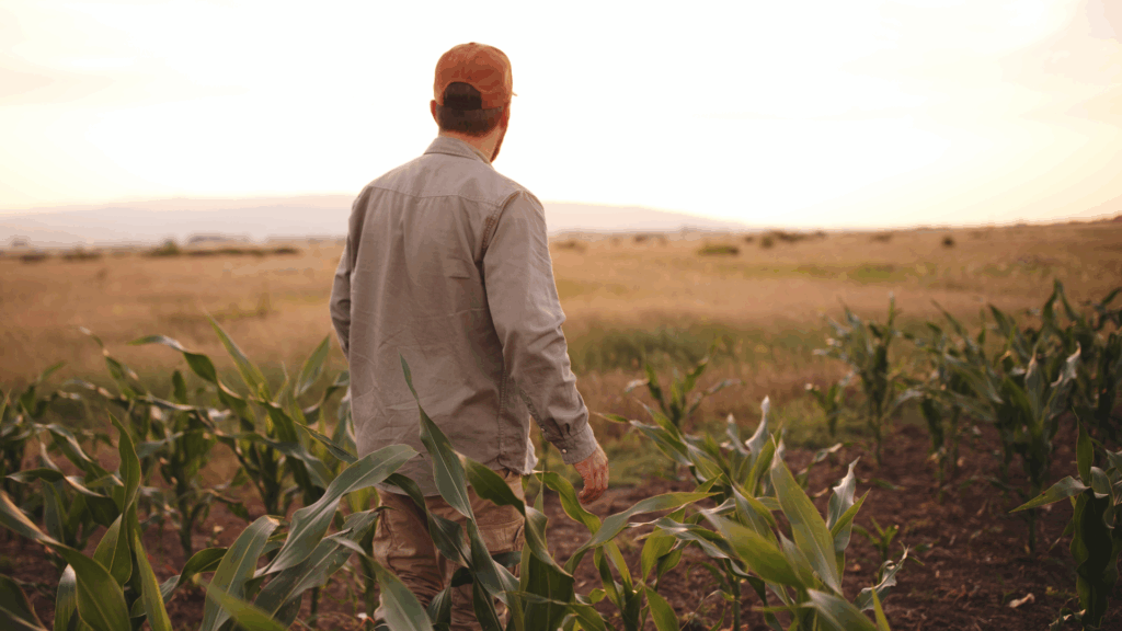 An image of a Woodstock farmer who just recently met with MW&CO to discuss financial planning